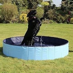 New In Box 59 Inch Diameter Easy Setup Foldable Portable Pet Dog Puppy Swimming Pool With Water Drain Plug Sets Up In Minutes 
