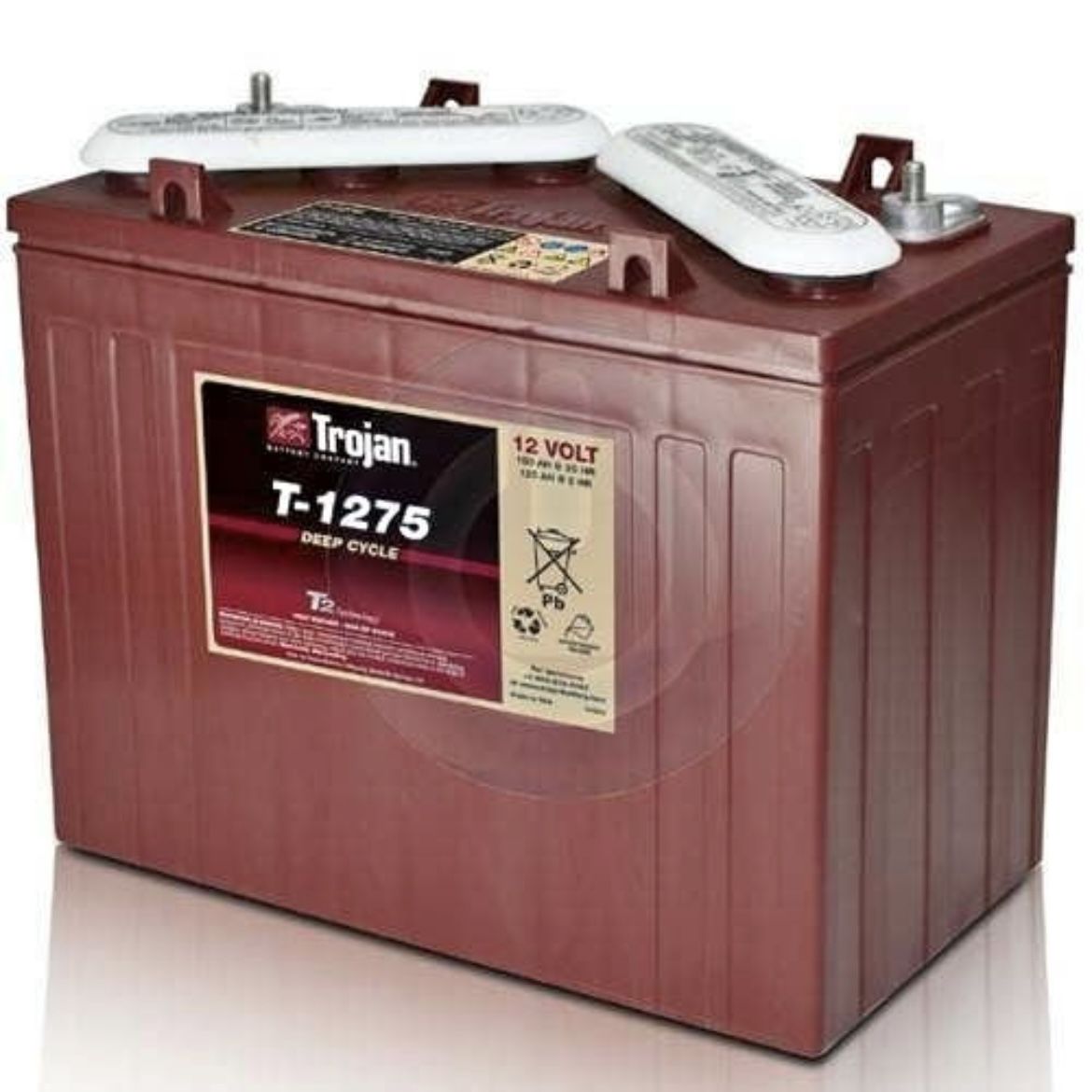 Golf Cart Battery 6v 8v 12v Batteries 6 8 12 volt Trojan Crown NEW and USED from $69