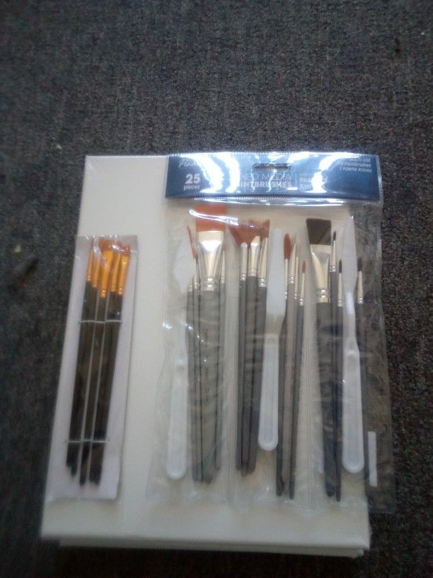 3 Canvases & about 30 Art Brushes/Tools