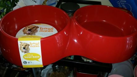 Dog food and water bowl