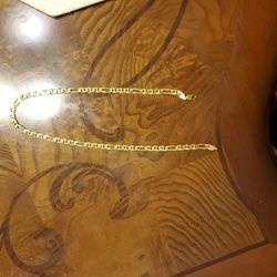 20" Gold Polished Chain