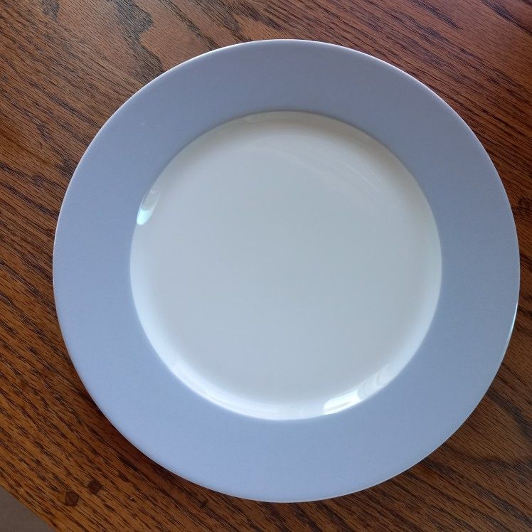 Ikea 365 Susan Pryke 12638 Dinner Plates (6) Blue Rim
