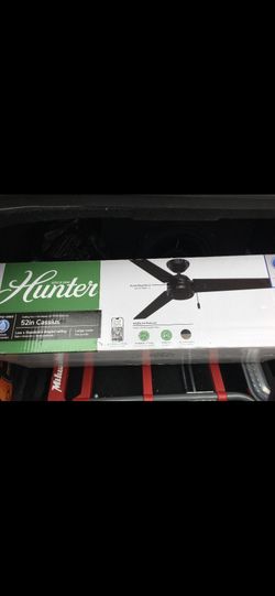 Hunter Celine fan