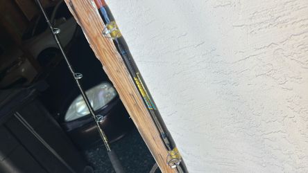 Pro Sabre Fishing Rod