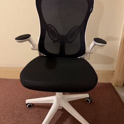 Ergonomic Office Chair