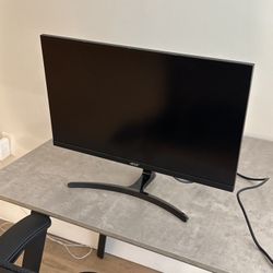 Acer Professional LCD Monitor