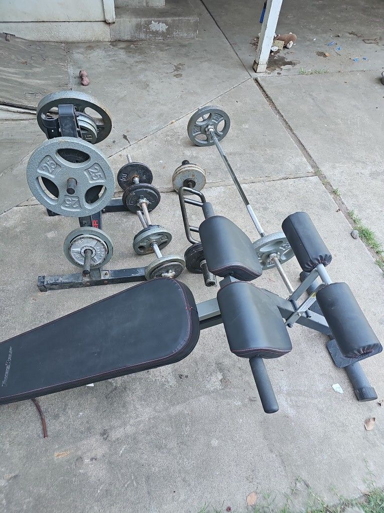 Weights And Bench