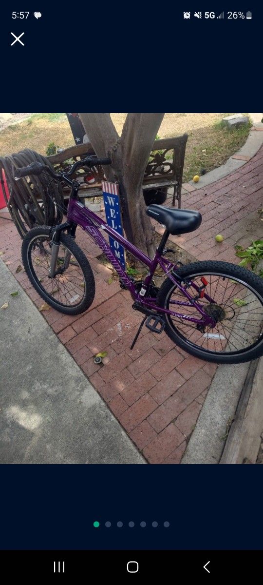 Schwinn 24" Woman's Bike