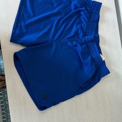 Adidas Aero ready Shorts