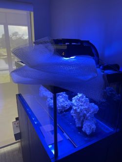 3’ x 7’ clear mesh for salt water tank top. Mesh only