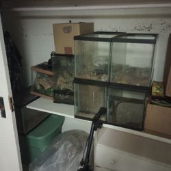 Aquariums Reptile Tank And Accessories 