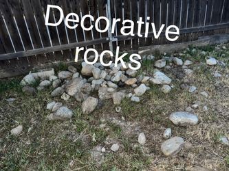 Decorative Rocks