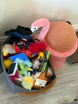 Pet toys