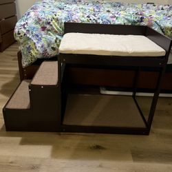 Elevated Dog Bed / Bunk Bed 