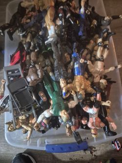 WWWF FIGURES.