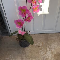 Artificial Orchard With Metal Pot, $25