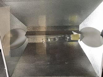 Light And Light Hood