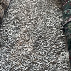 White Leather Shag Carpet