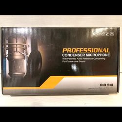 Podcast Professional Microphone Set Up