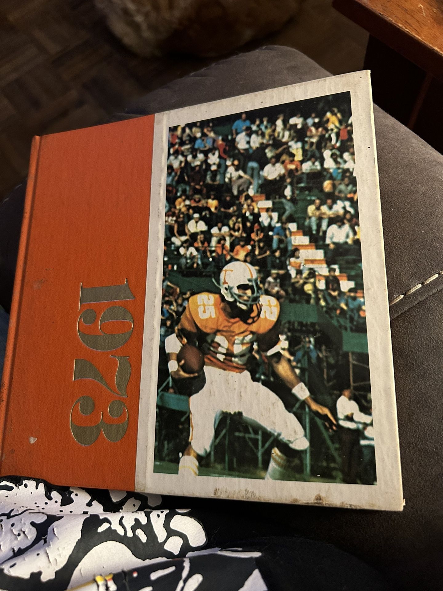 1973 Tennessee Volunteers