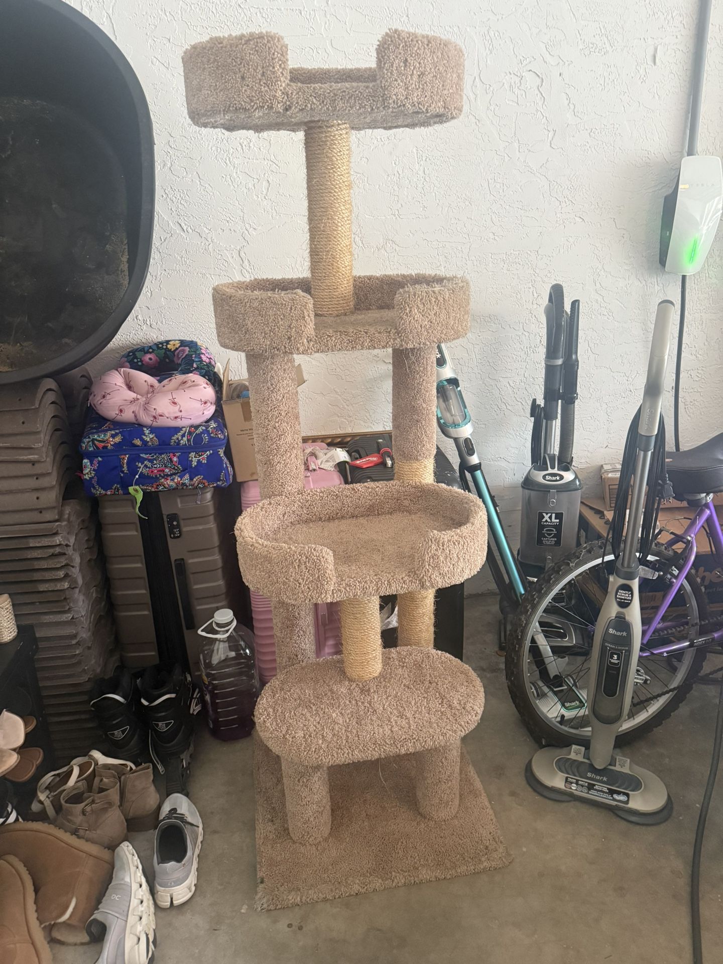 Kitty Condo
