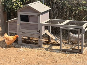Chicken coop