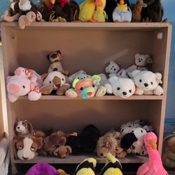 Ty Buddy & Matching Beanie $15 Pair