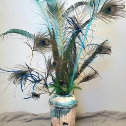 Assortment Peacock and Pheasant Feathers qty13 pieces Vase Not Included