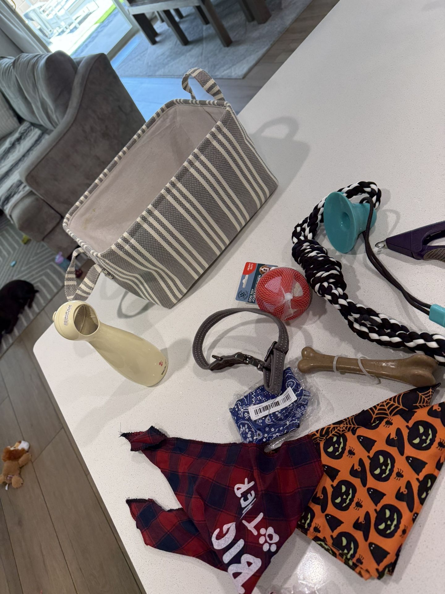Dog Toys, Basket, Bandanas, Collar