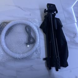 10” Ring Light 