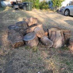 Hardwood Eucalyptus Rounds 