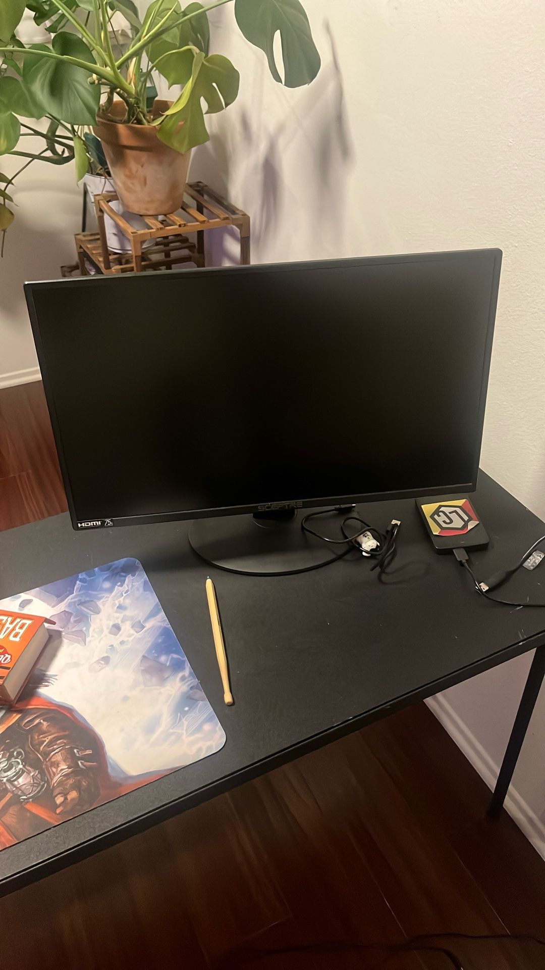 Sceptre Monitor 24in