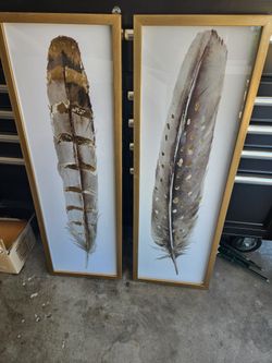 Feather Wall Deco