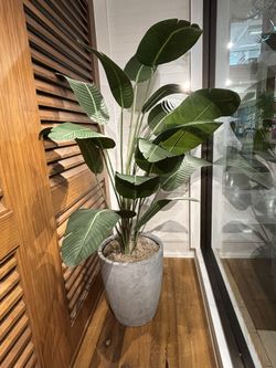 Plant Furniture