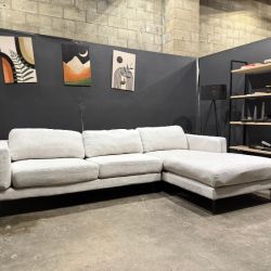 Living Spaces Aries Sectional Sofa with Chaise - Delivery Available!