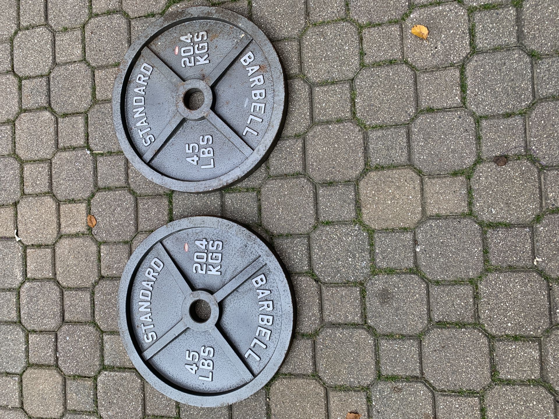 1 pair 45lb weight plates - 90 lbs total