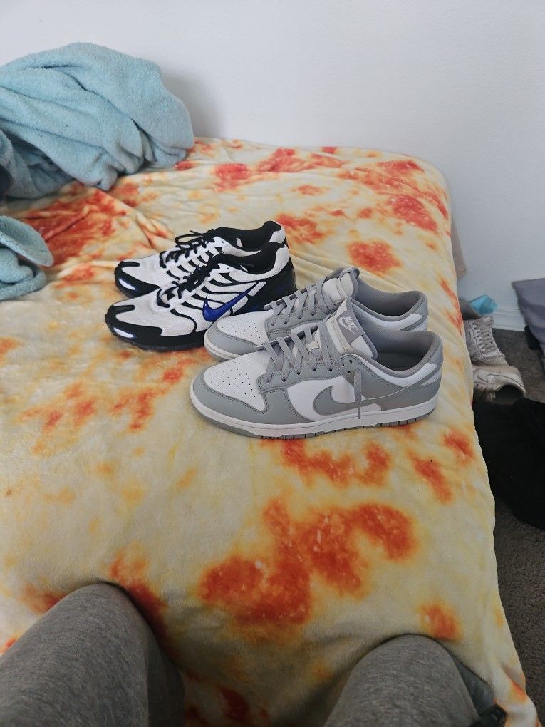 Nike Torch 4s And Nike Dunk Low Retro