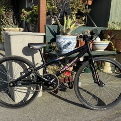 2008 FREE AGENT TEAM Mini FA7005 ALUMINUM ALLOY BMX RACING BIKE