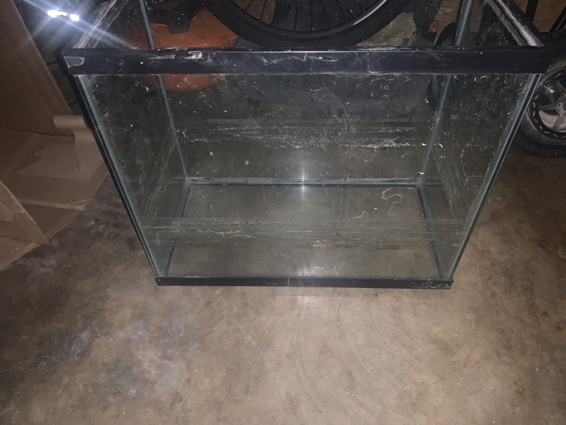 Large Fish Tank