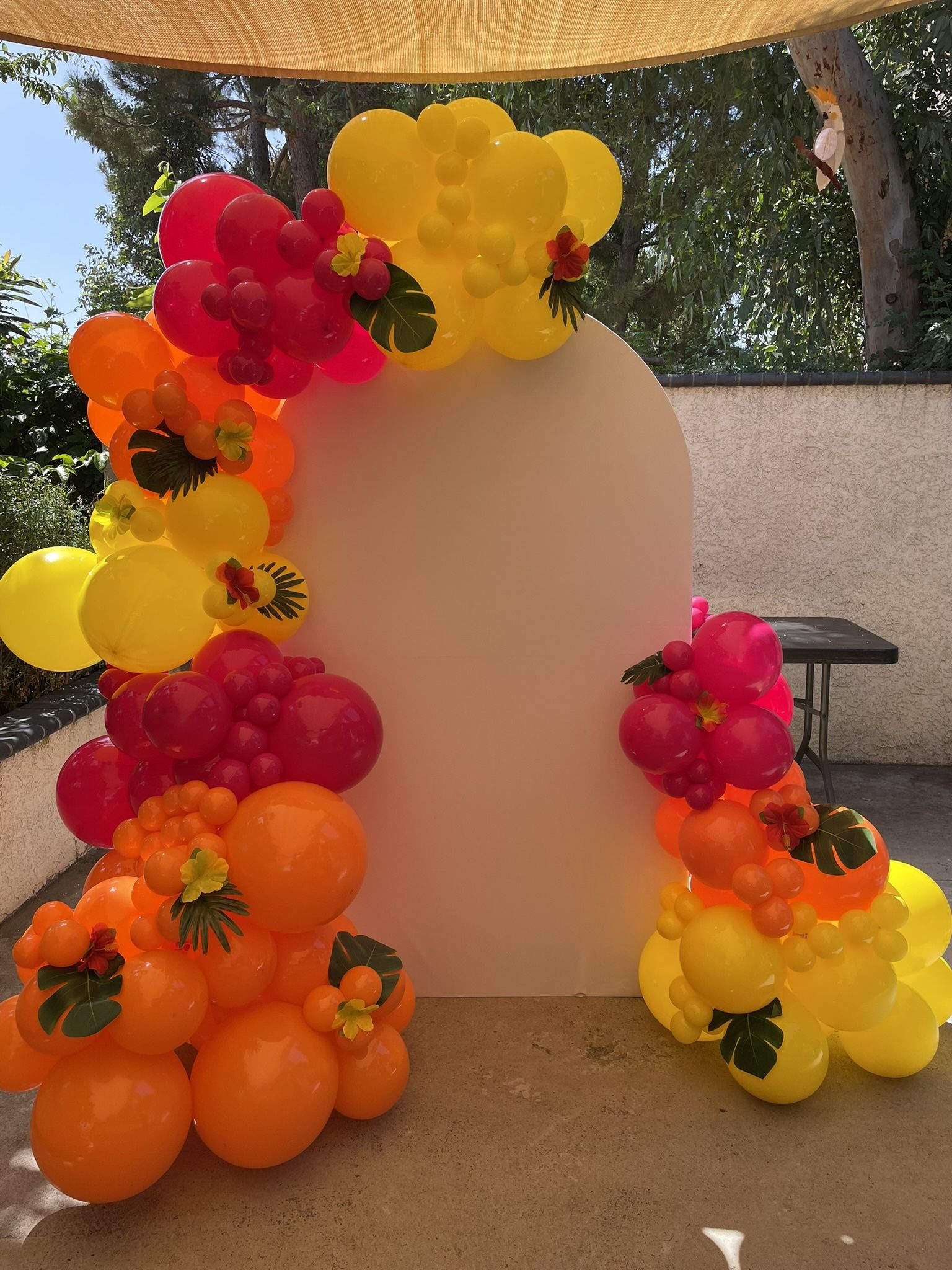 Ballon Arch And Backdrop