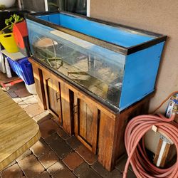 Fish Tank Aquarium