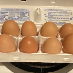 Fresh Eggs!