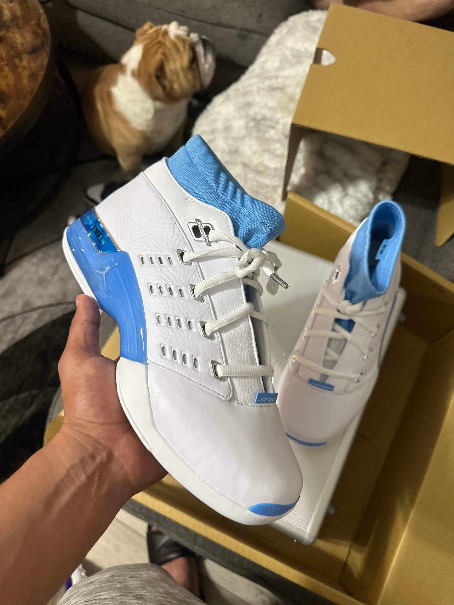 Jordan 17 University Blue/ Sz 10 / NEW