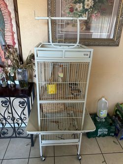 White Bird Cage
