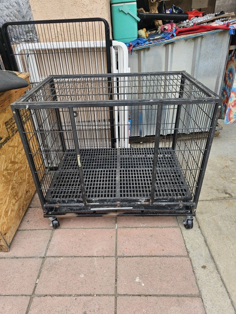 Dog Kennel