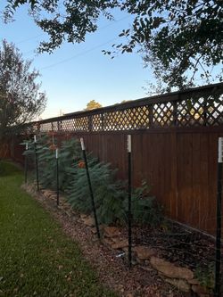 Green Metal Garden Stakes Bundle