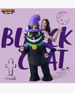 Inflatable costume cat