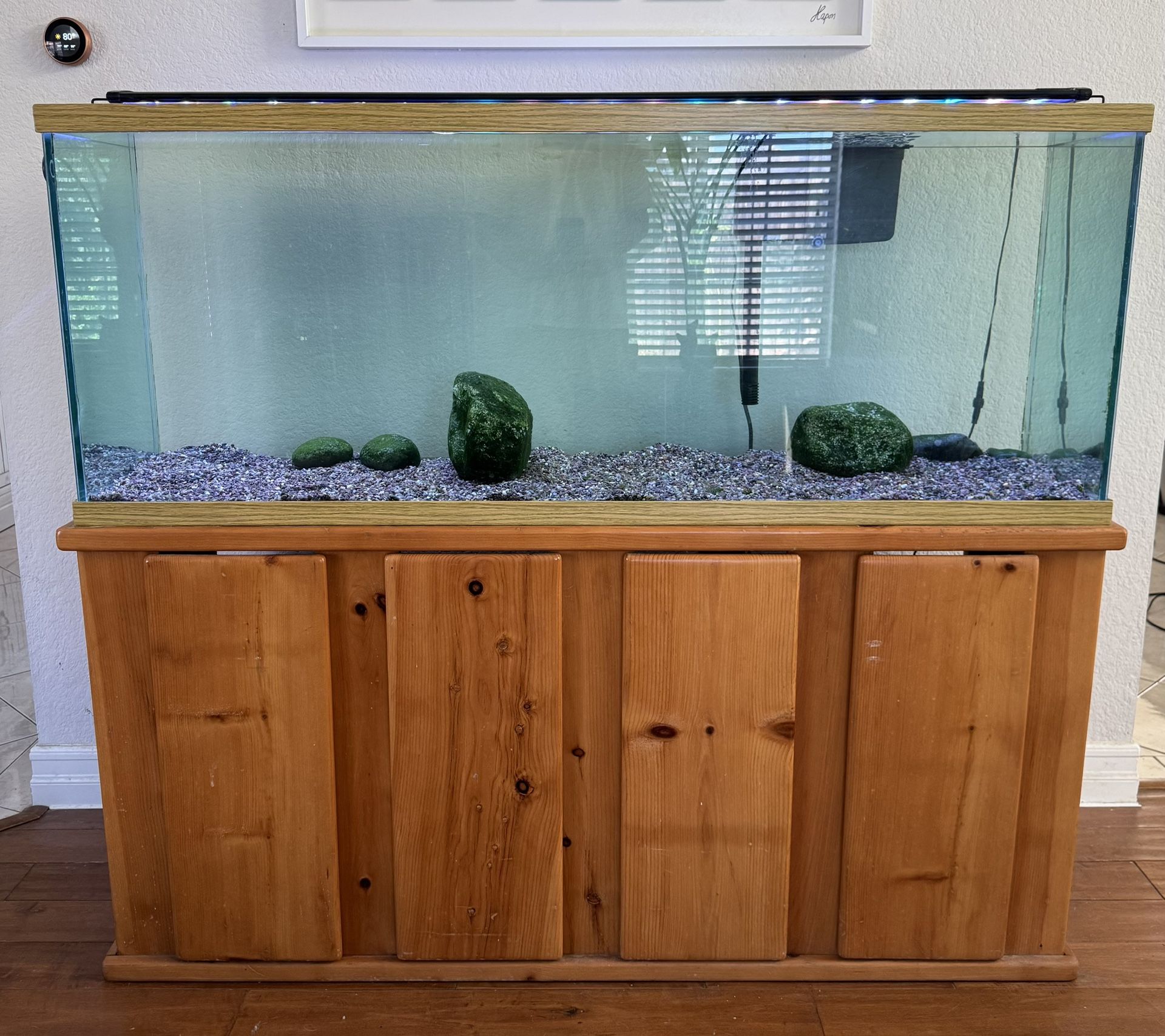 100 Gal Aquarium