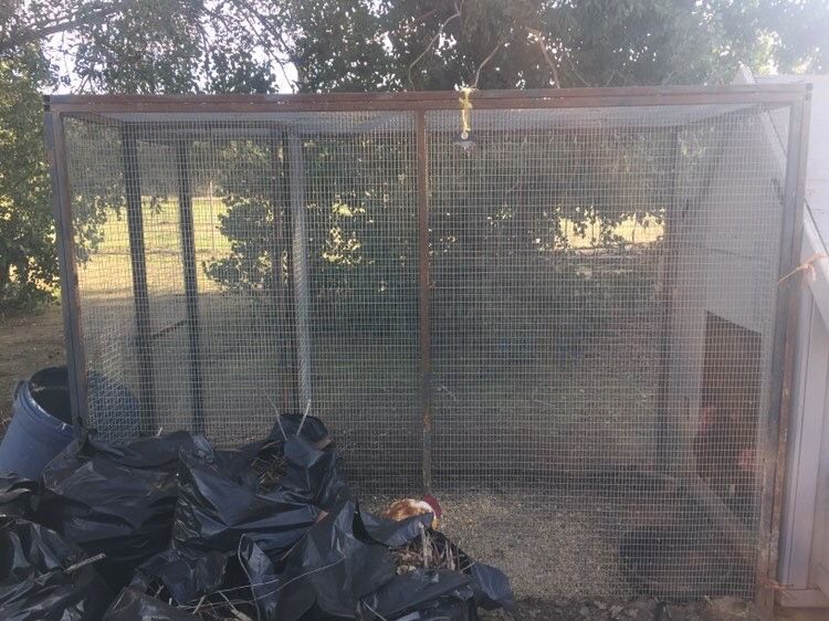 Chicken cage/chicken coop/bird cage for Sale in Perris, CA OfferUp
