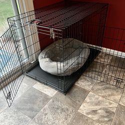 Crate  W/ 2 Doors - 36in - Gently Used